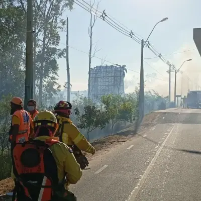 Incendios Forestales en Paraguay: Más de 2.800 Hectáreas Afectadas en un Enero Alarmante